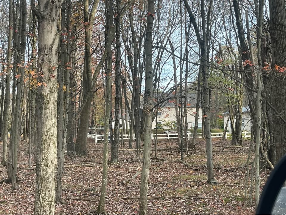 Land/Lot for Sale in Albrightsville, PA - photo 2