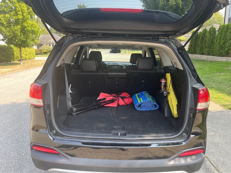 2016 Kia Sorento EX V6 - photo 5