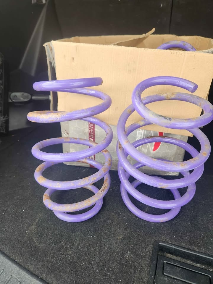 D2 Racing SP Lowering Springs Honda Civic 2016-2023 - photo 3