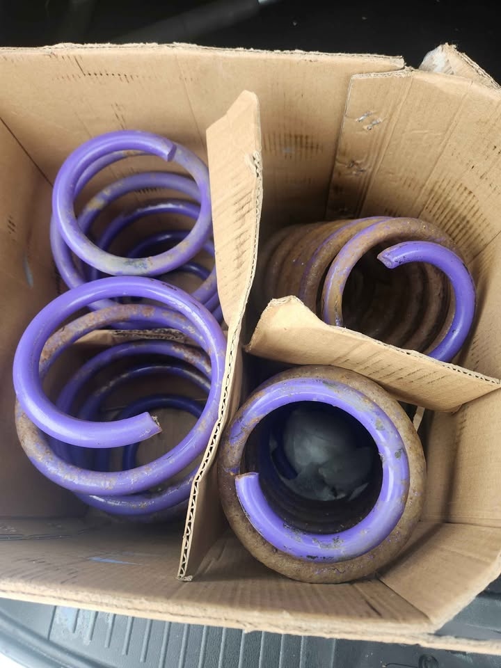 D2 Racing SP Lowering Springs Honda Civic 2016-2023 - photo 4