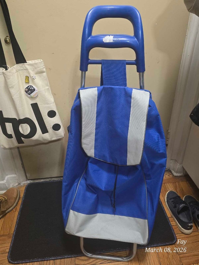 Blue Shopping Cart - Used Good Condition
