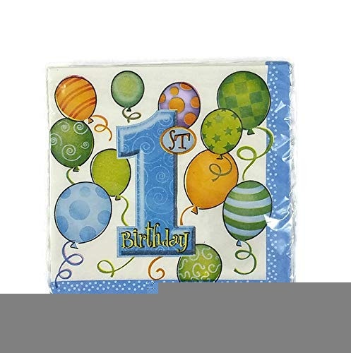 Birthday Party Fun at One Boy Bundle for 16 People - photo 4