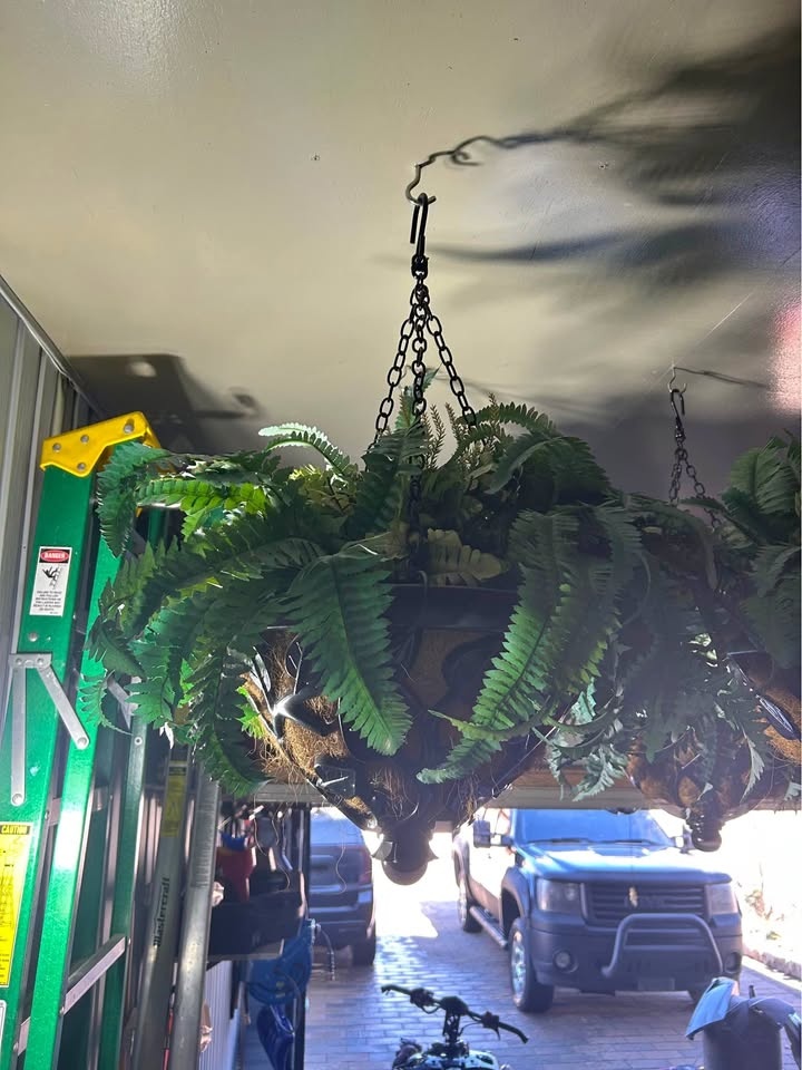 Hanging Planters