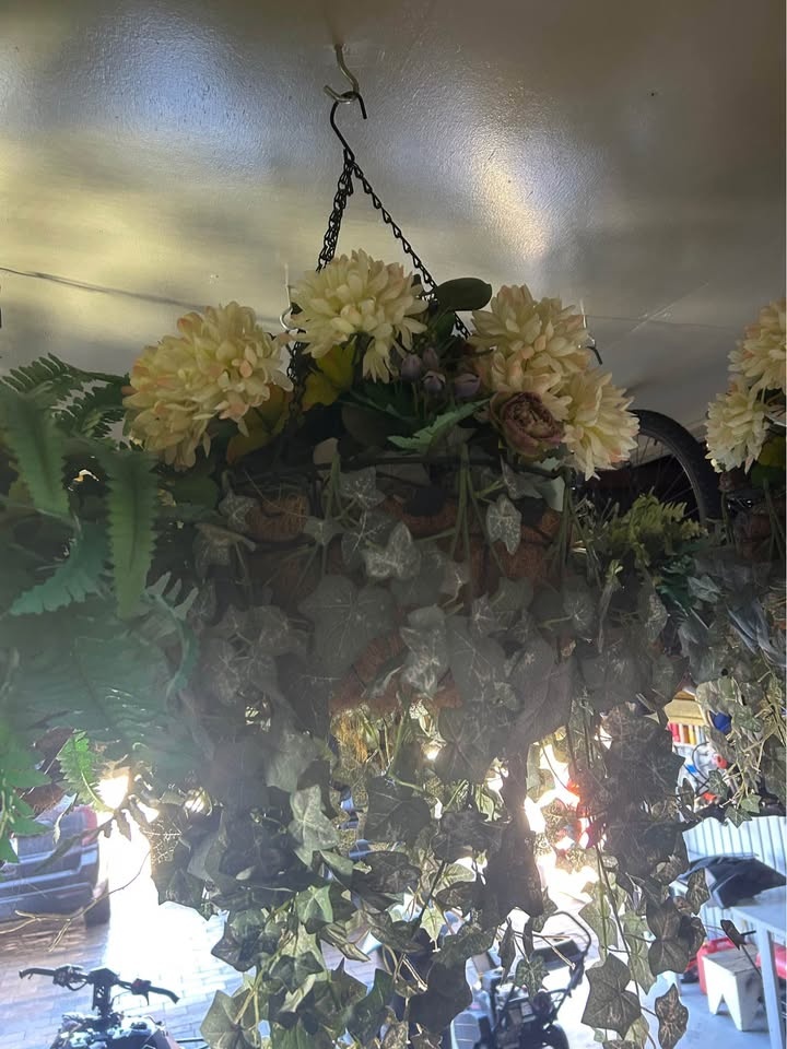 Hanging Planters - photo 2