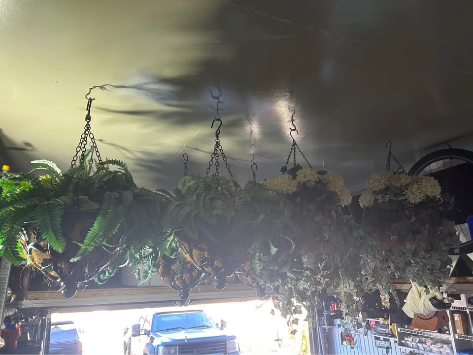 Hanging Planters - photo 3