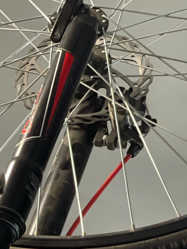 Mountain bike dual disc and dual suspension - photo 3