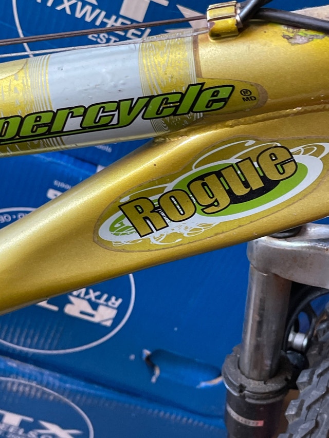 Supecycle Rogue 12 speed bike in great shape.