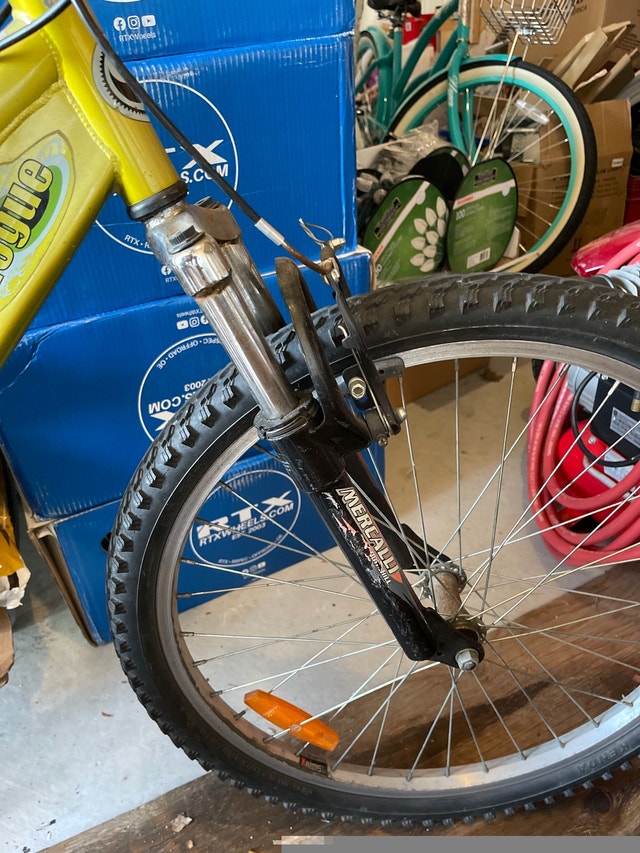 Supecycle Rogue 12 speed bike in great shape. - photo 3