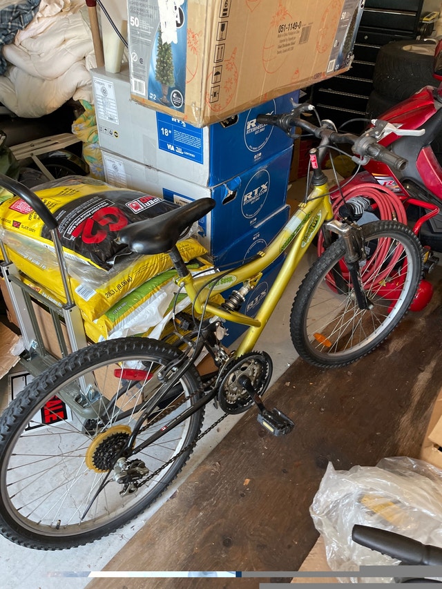 Supecycle Rogue 12 speed bike in great shape. - photo 4