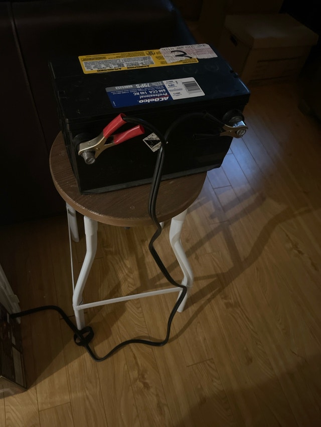 Large Size