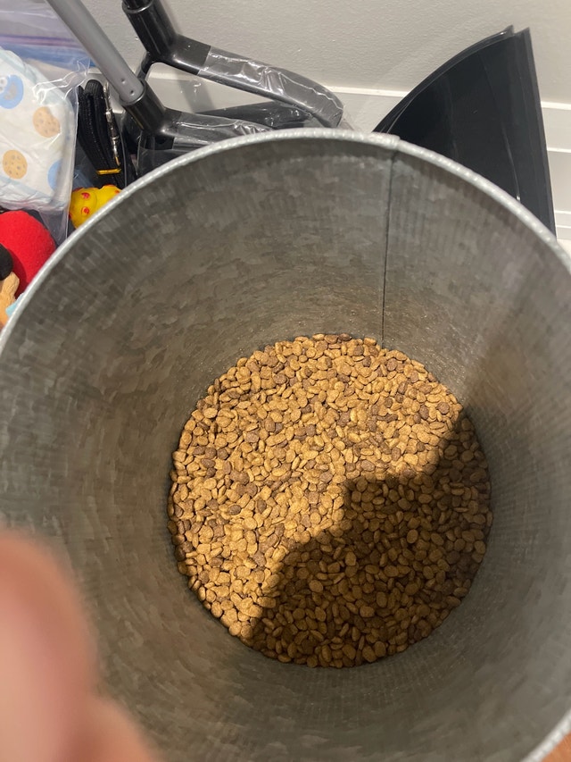 Dog Food Storage Tin - photo 4
