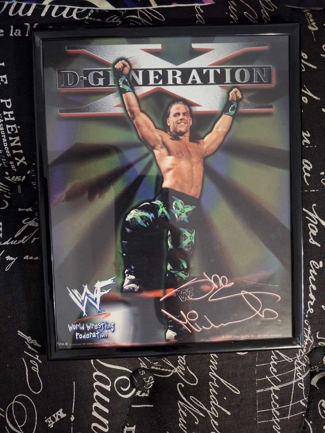 Shawn Michaels 8x10 Photo Poster Captiva Vintage