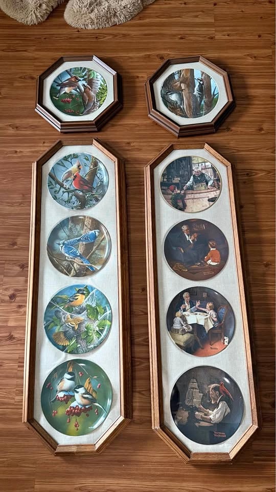 Decorative Plates in Wooden Frames - Norman Rockwell & Birds
