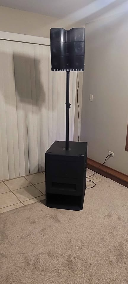 CAICOUSTIC CAIXA115 SPEAKER SYSTEM - photo 2