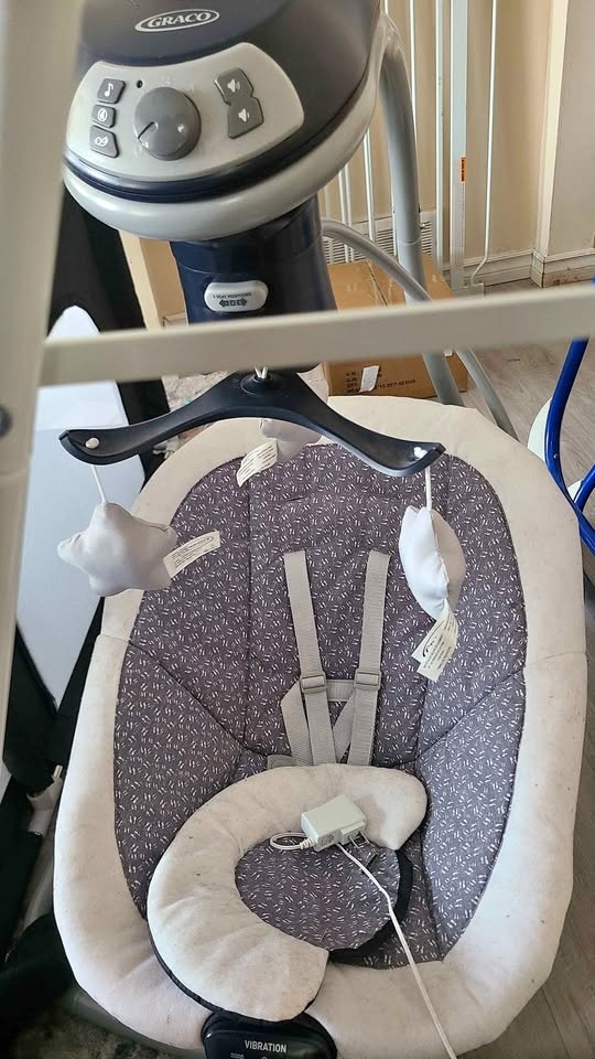 Graco Baby Swing