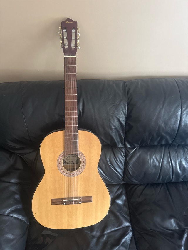Ritmiiller Budget Friendly Classical Guitar