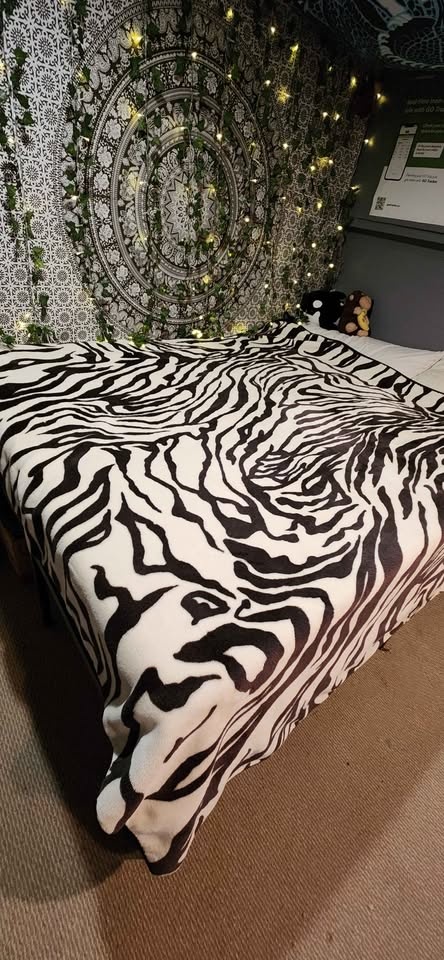 Plush Zebra Print Blanket - photo 2