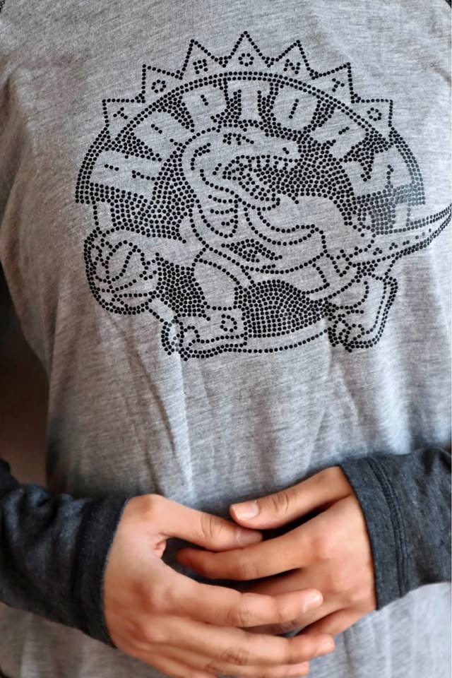Grey Raglan Raptors Long Sleeve Shirt Studded Dino Design