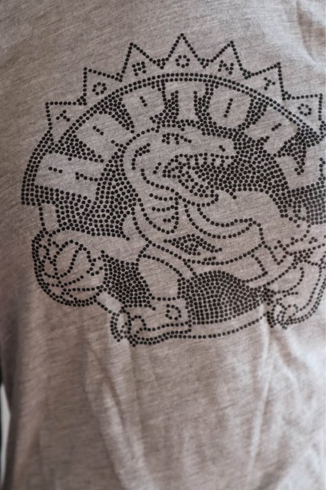 Grey Raglan Raptors Long Sleeve Shirt Studded Dino Design - photo 4