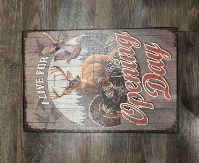 Opening Day wooden Picture