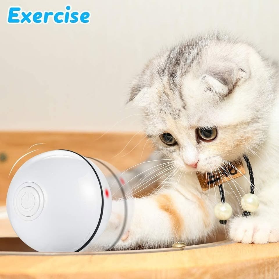 Interactive Rolling Cat Toy Ball