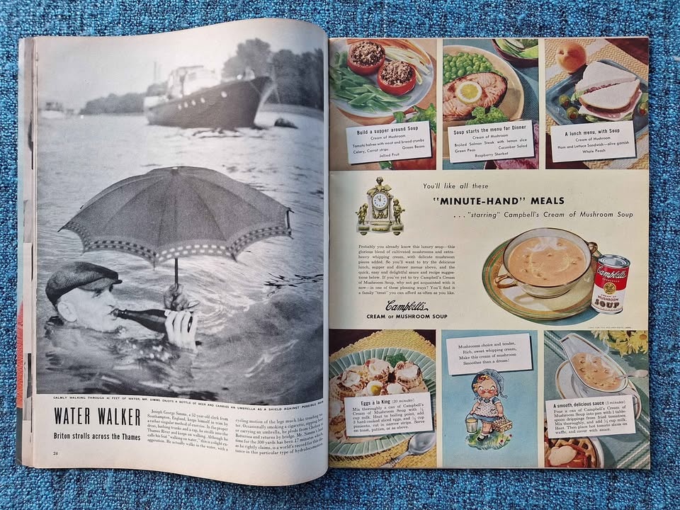LIFE Magazine August 9, 1948 Marlene Dietrich Russia's Strength - photo 4