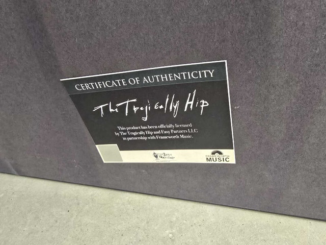 Tragically Hip Framed Record - photo 5