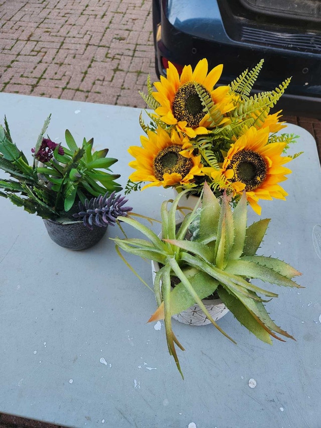 Artificial Succulents