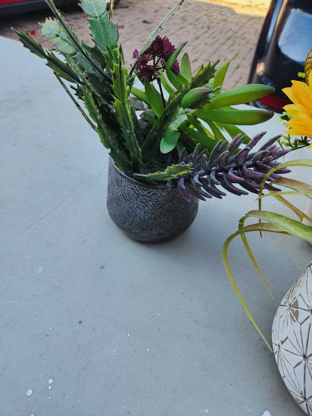 Artificial Succulents - photo 2
