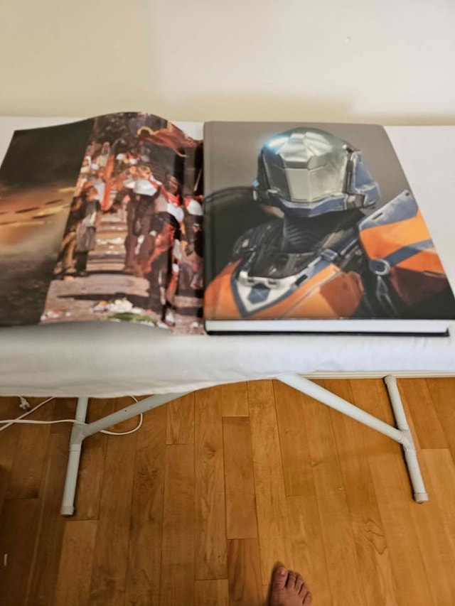 Destiny 2 Collector's Edition Guide - photo 3