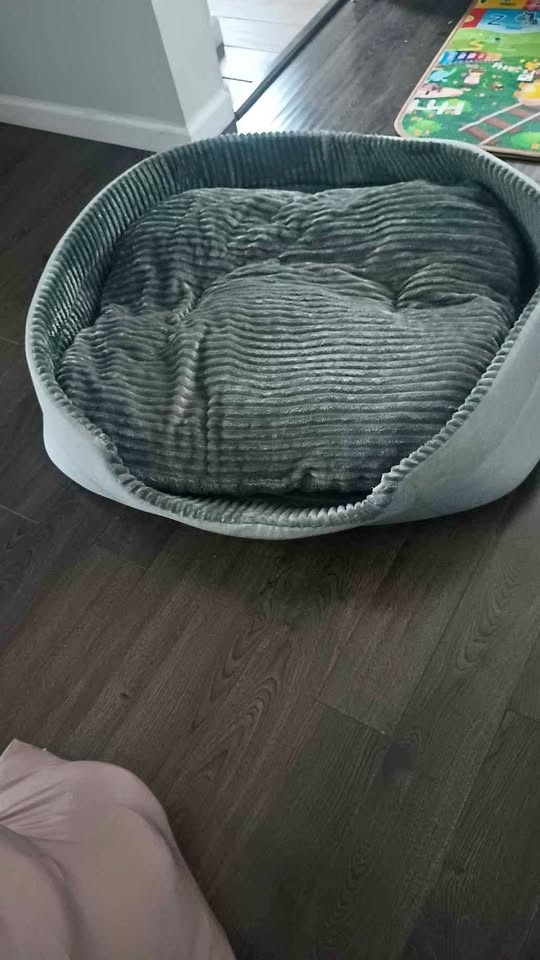 Pet Heaven Pet Bed for Dogs or Cats