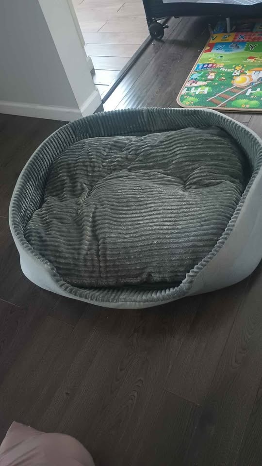 Pet Heaven Pet Bed for Dogs or Cats - photo 2