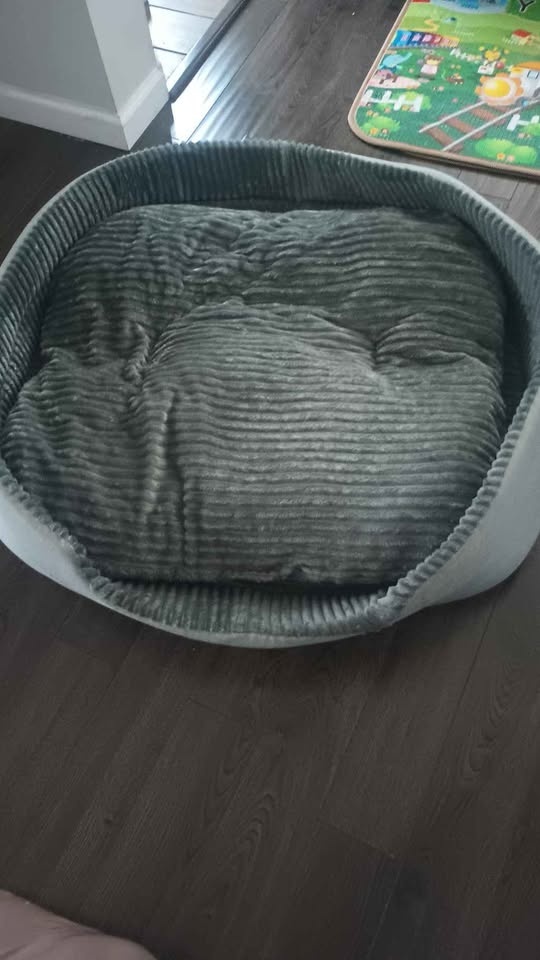 Pet Heaven Pet Bed for Dogs or Cats - photo 3
