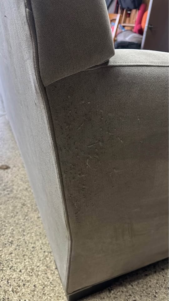 Crate & Barrel Sectional Sofa w/ Chaise - photo 5