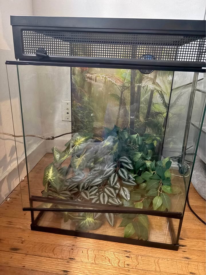 Reptile Terrarium with Supplies - Thrive Brand