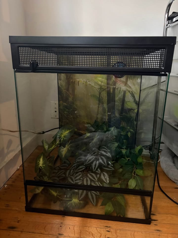 Reptile Terrarium with Supplies - Thrive Brand - photo 2