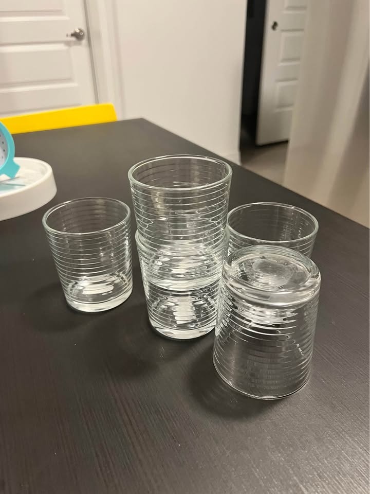 Fox Home Glasses - photo 2