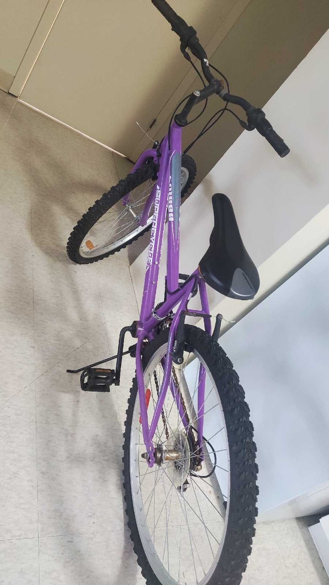 Mountain Bicycle