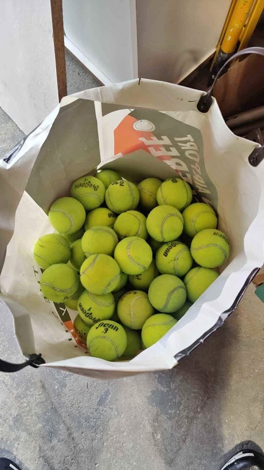 50 Used Assorted Tennis Balls
