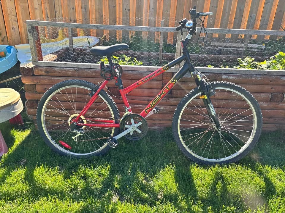 Adult bike