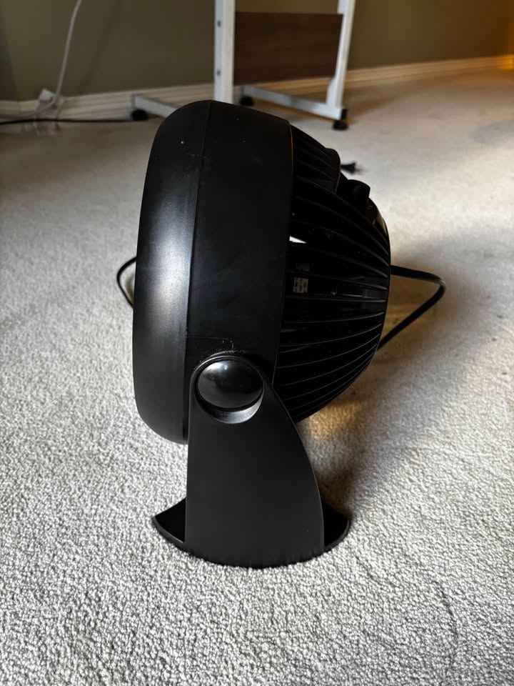 Fan - photo 4