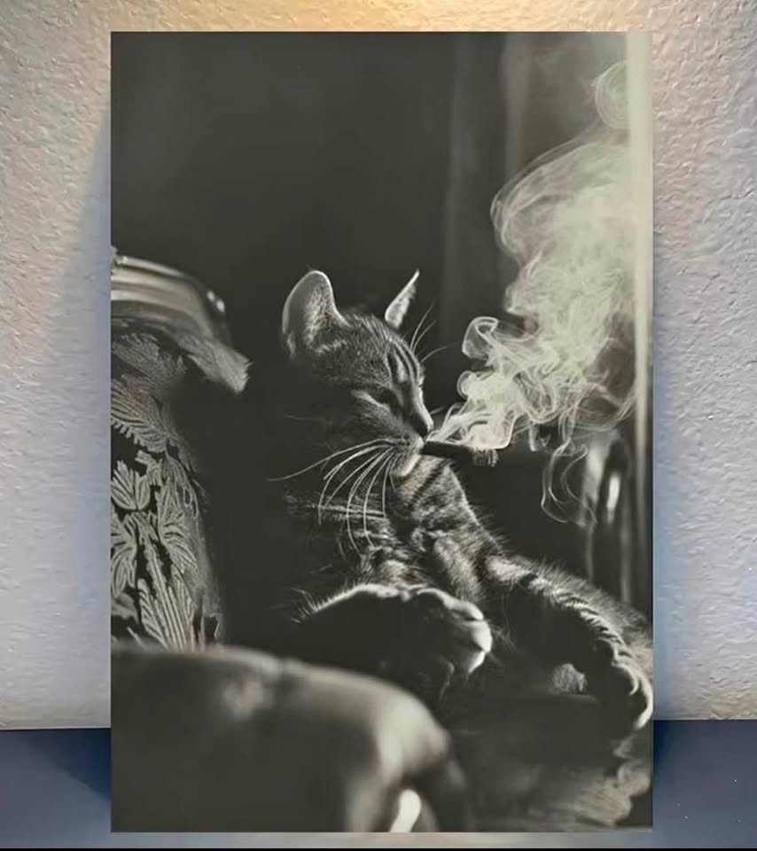 NEW Vintage Smoking Cat Big Custom Canvas 12x18 inches