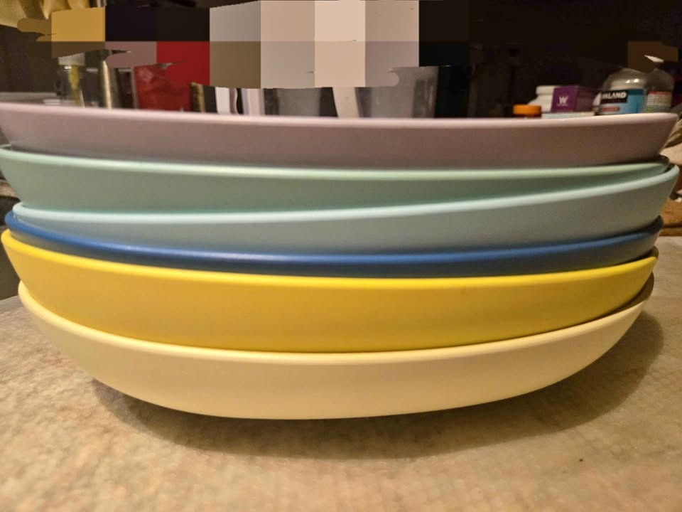 Francfranc Oval Plates Set 6pc Pastel Colors Microwave Safe
