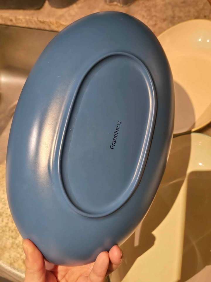 Francfranc Oval Plates Set 6pc Pastel Colors Microwave Safe - photo 3