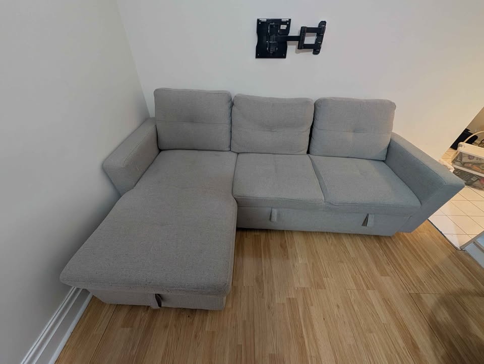 Beautiful Sofa Bed with Storage and Chaise - photo 3