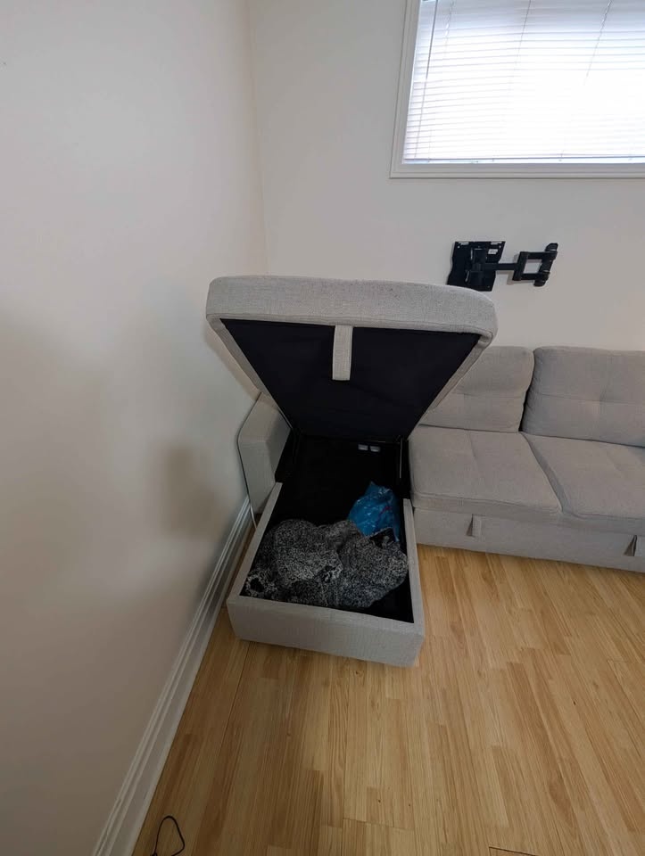 Beautiful Sofa Bed with Storage and Chaise - photo 5