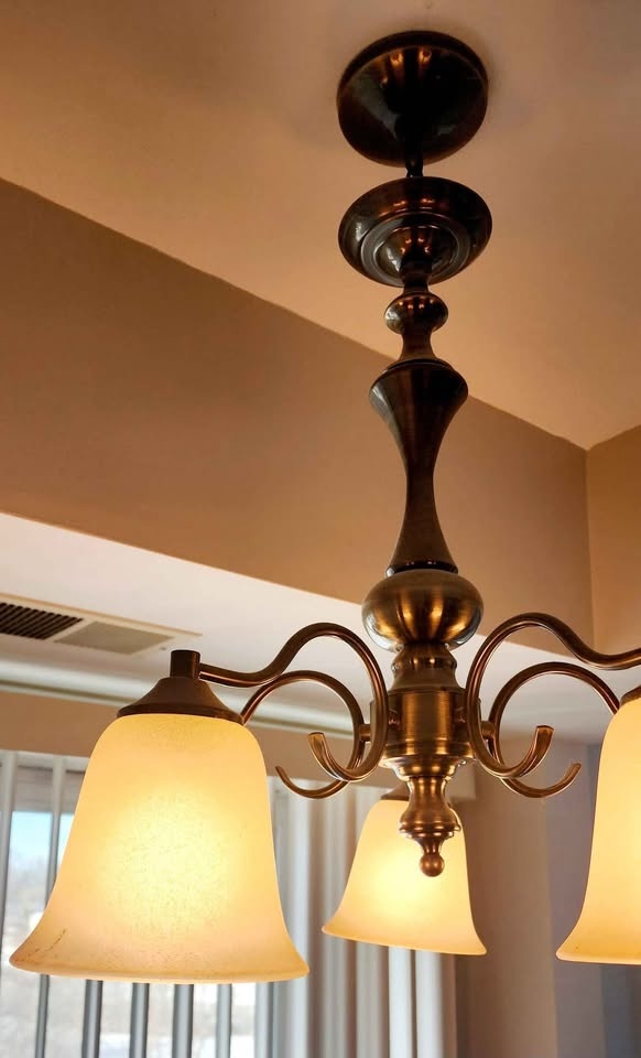 Vintage Chandelier with Glass Lampshades - photo 2