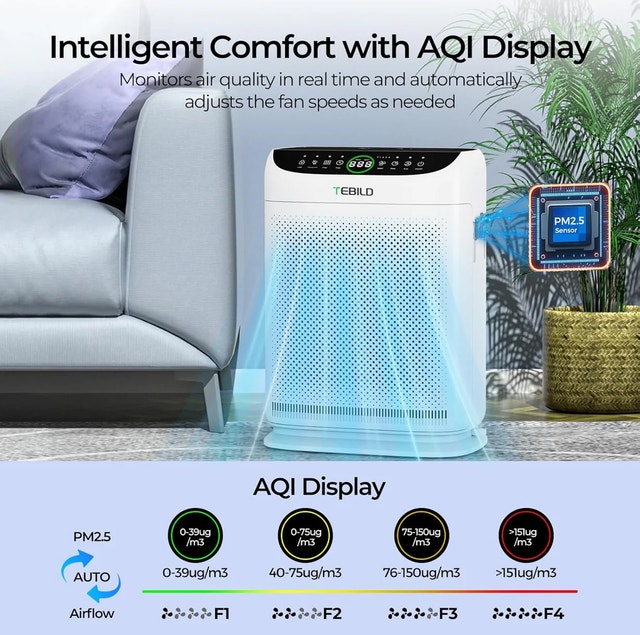 TEBILD ZX001 HEPA Air Purifier – Large Room | Good Finds - photo 5