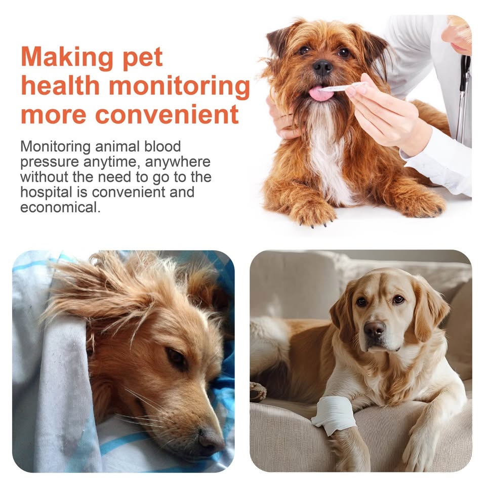Pepultech Pet Blood Pressure Monitor - photo 3