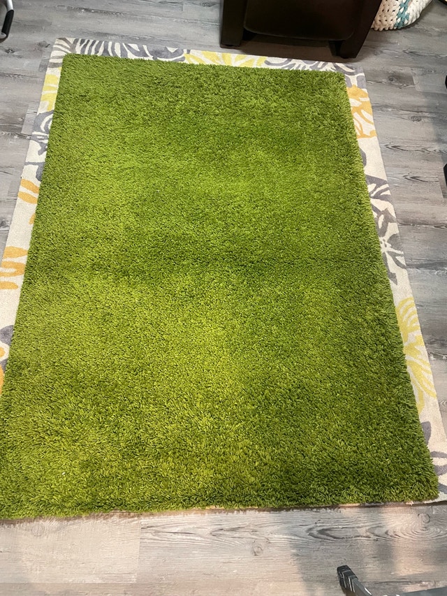 Green Shag Area Rug